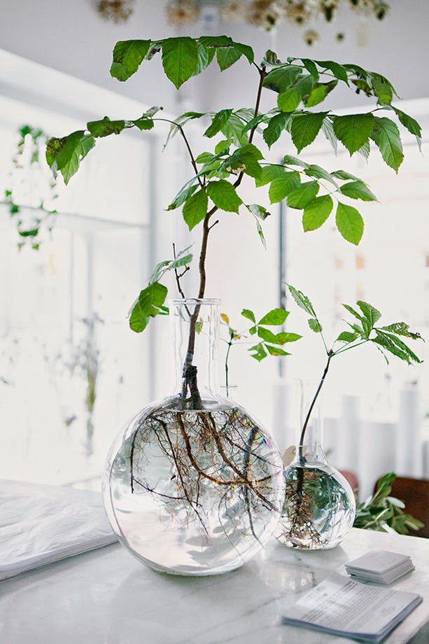 6 reasons to get houseplants now - # 06 Plants are pretty | Photograph by Ida Borg for Swedish Magazine Residence