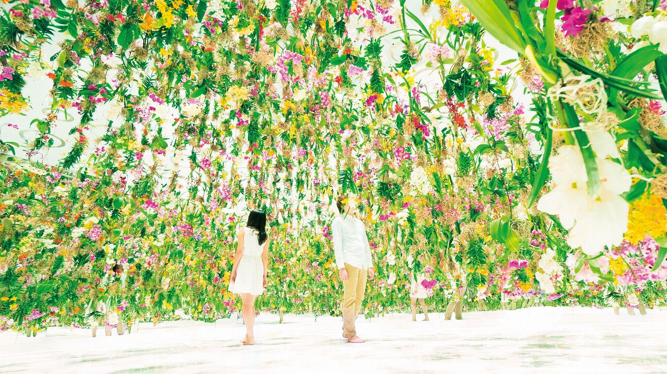 Teamlab's floating flowers are all i can think of | photograph by Teamlab