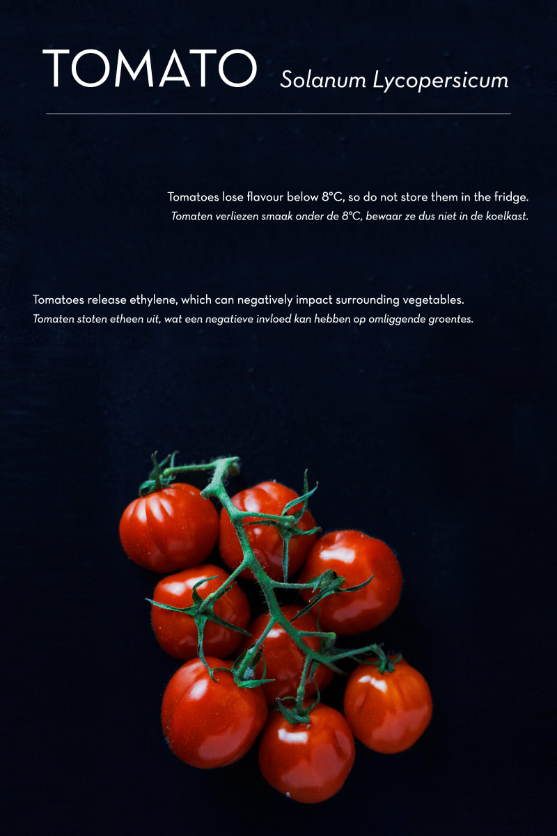 Poma/Olera: keep fruits and vegetables fresh for longer // research: tomato - By House of Thol