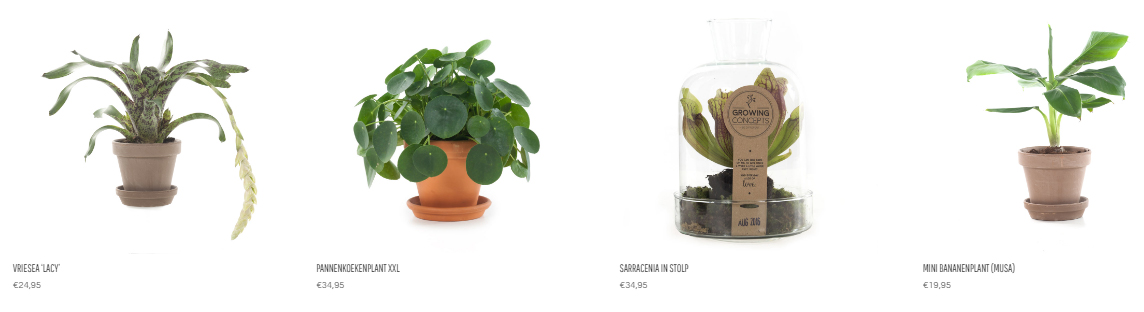 Botanic design & lifestyle // Waterworks at Green Lifestyle Store | printscreen of greenlifestylestore.nl