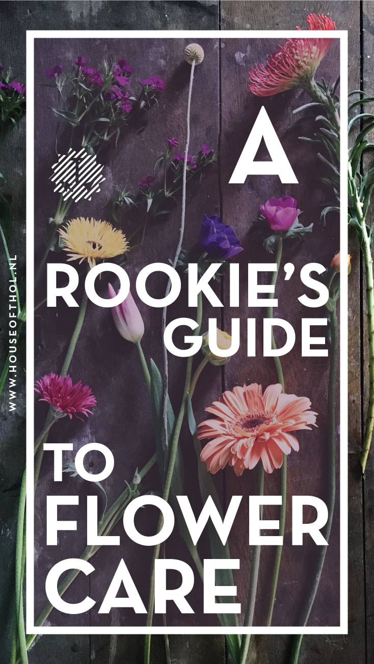 A Rookie's guide to flower care by House of Thol - 9 steps to keep your flowers fresh for longer