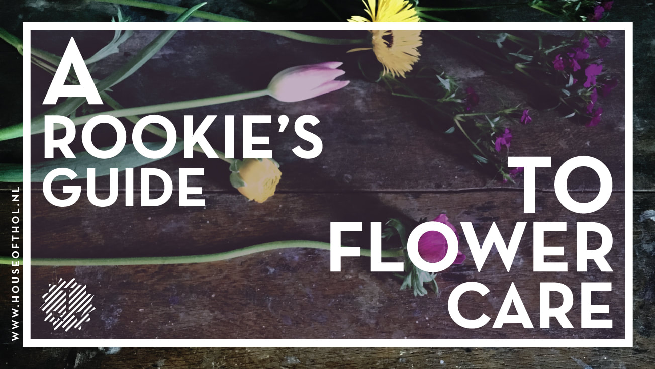 All about tulips and keeping them fresh for longer // A rookie's guide to flower care by House of Thol