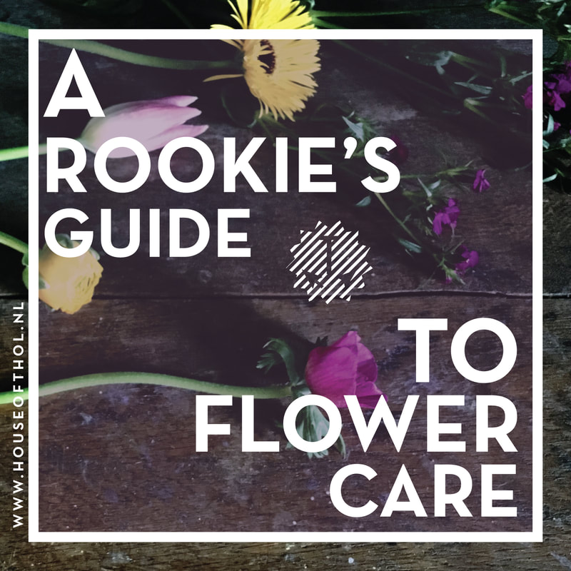 An angled cut: the rookie's guide to flower care