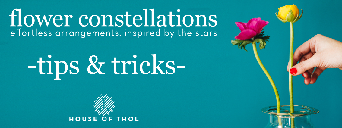 Flower Arranging Tools 10 | Flower Constellations | Eco Gifts