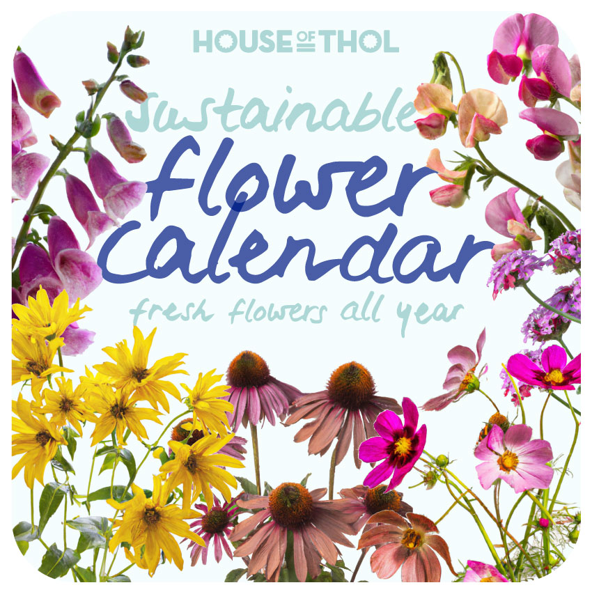 Sustainable Flower Calendar - Fres flowers all year // by House of Thol