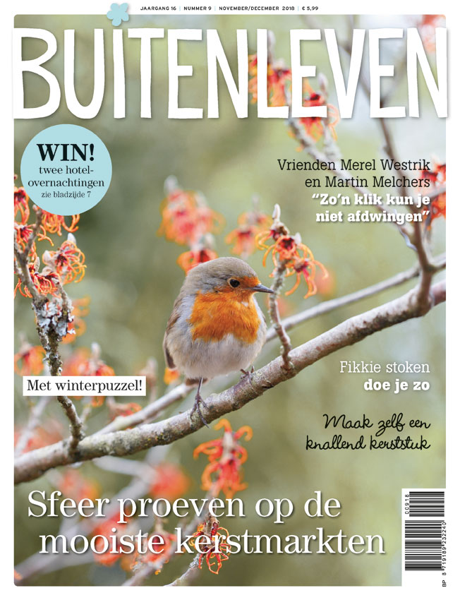 Flower Constellations publication in magazine Buitenleven