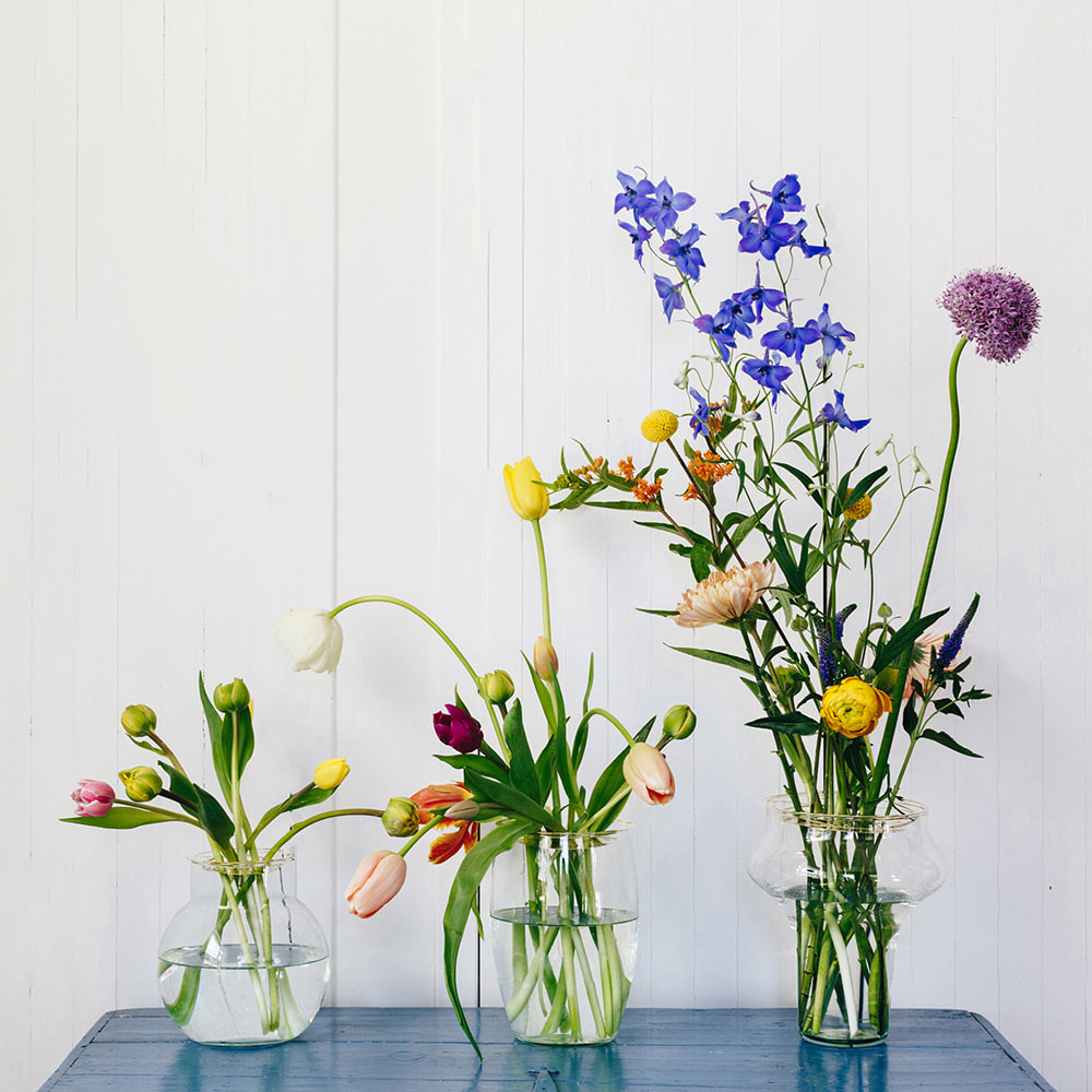 A Rookie's guide to Flower Care by House of Thol - 9 easy steps to make the most of your flowers
