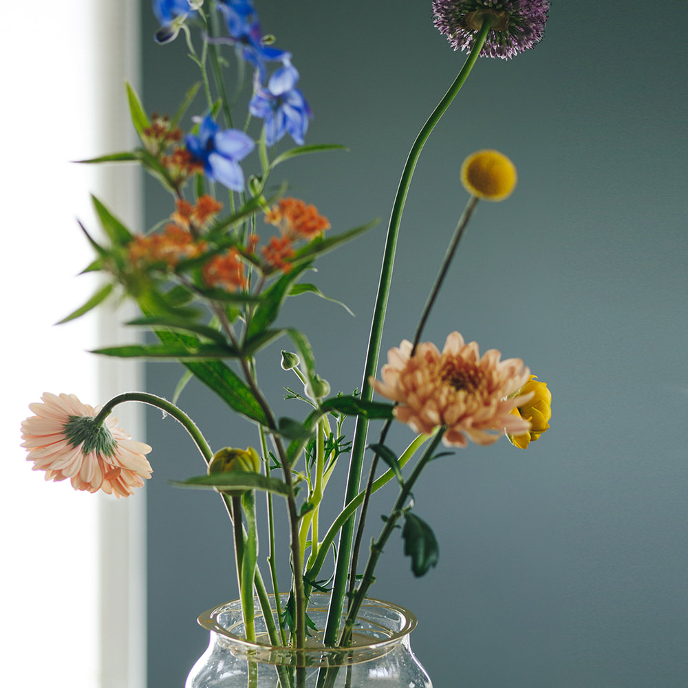 A Rookie's guide to Flower Care by House of Thol - 9 easy steps to make the most of your flowers