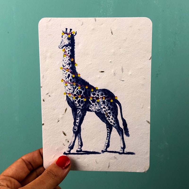 Festive Giraffe growing card by House of Thol / photograph by House of Thol