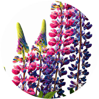 Lupine // Year-round sustainable flower calendar by House of Thol