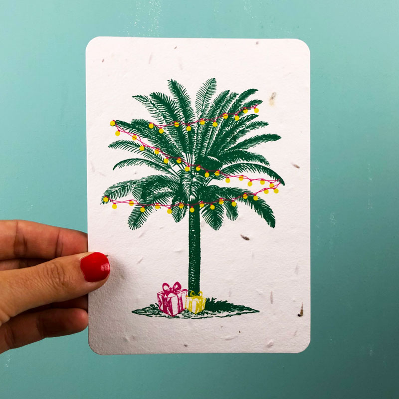 Palmtree & Presents growing card by House of Thol / photograph by House of Thol