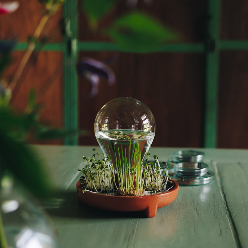 Patella Crescenda - grow your own fresh micro greens year round / design by House of Thol - photography Masha Bakker