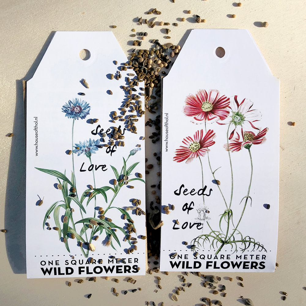 Seeds of Love: gift tags containing one square meter of wildflowers by House of Thol - photograph by House of Thol