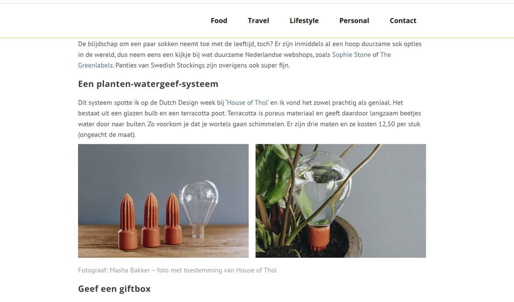 Plant Watering globe Waterworks on Sustainable gift guide by Little bit of Sunshine